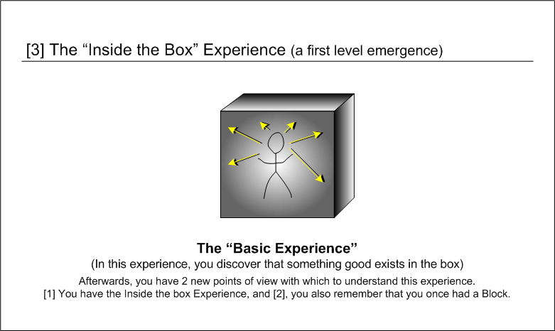 emergence in the box experience